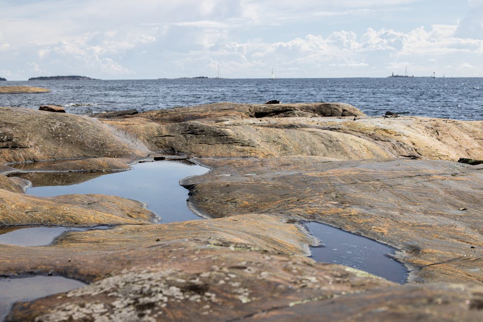 Picknick auf felsiger Insel bei Helsinki am Nachmittag