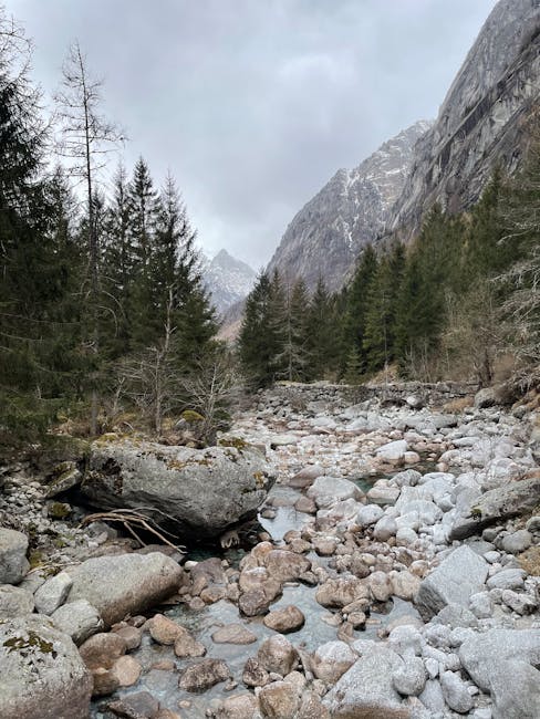 Mountain stream and granite in Evisa
