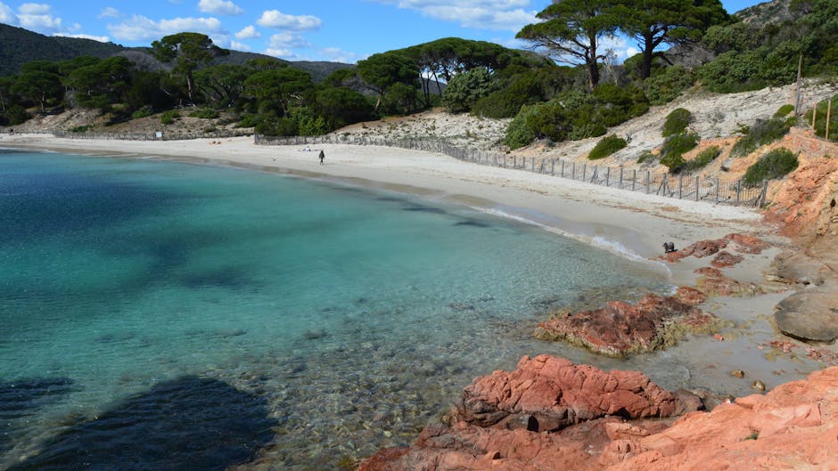 Spiaggia di Palombaggia, sabbia bianca e acqua turchese