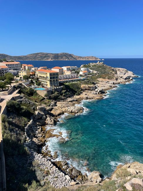 spiaggia di Calvi con palme e mare turchese