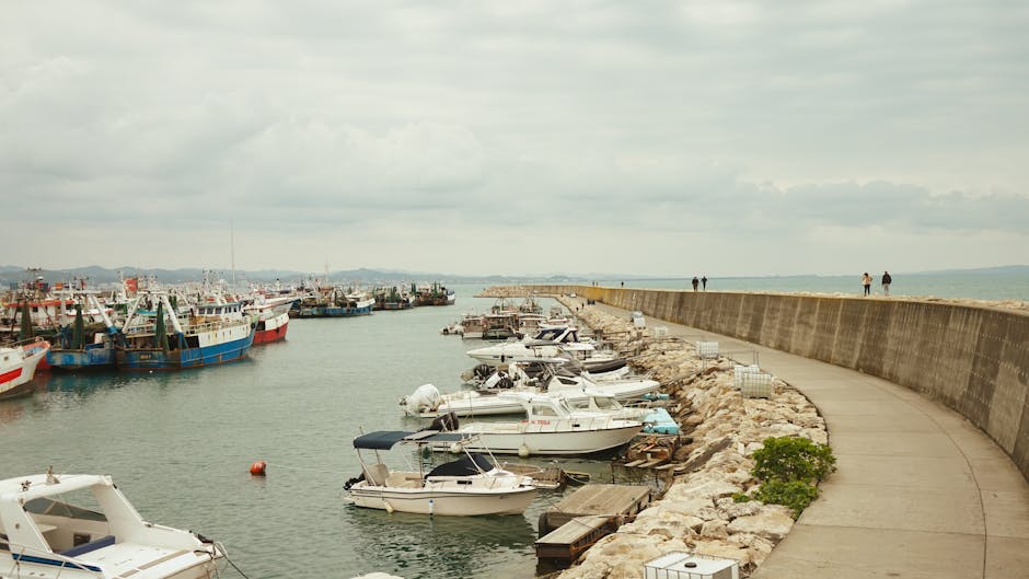 Macinaggio harbour and coastal path at sunrise