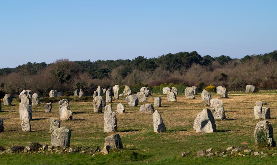 Veduta aerea degli allineamenti di Carnac, file di menhir