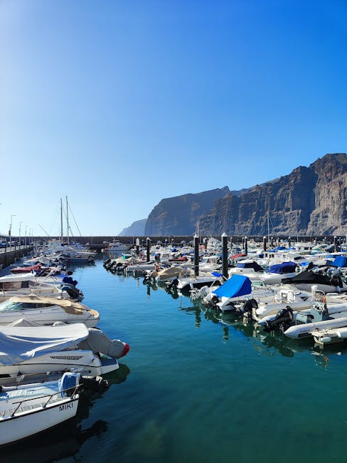 Los Gigantes cliffs coastal viewpoint and boats