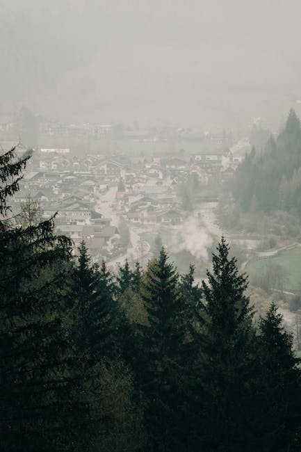 Villaggio di Vilaflor tra pini e nebbia mattutina