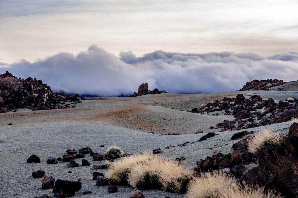 Dramatic volcanic coastline and cliffs in Tenerife