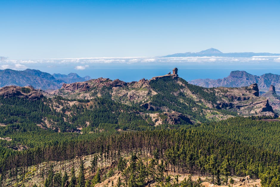 Panorama sul Roque Nublo da un mirador