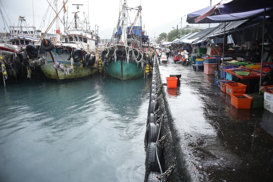 Early morning activity at the harbor market