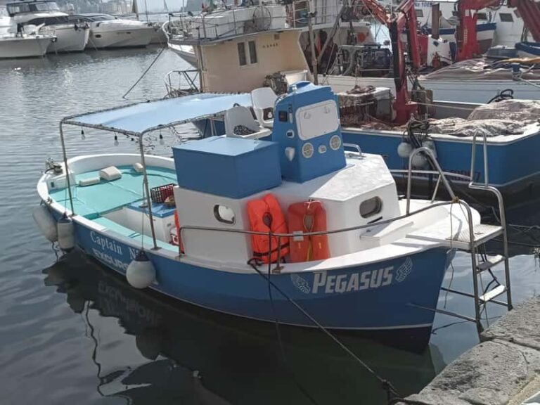 Découvrir snorkeling et déjeuner en mer