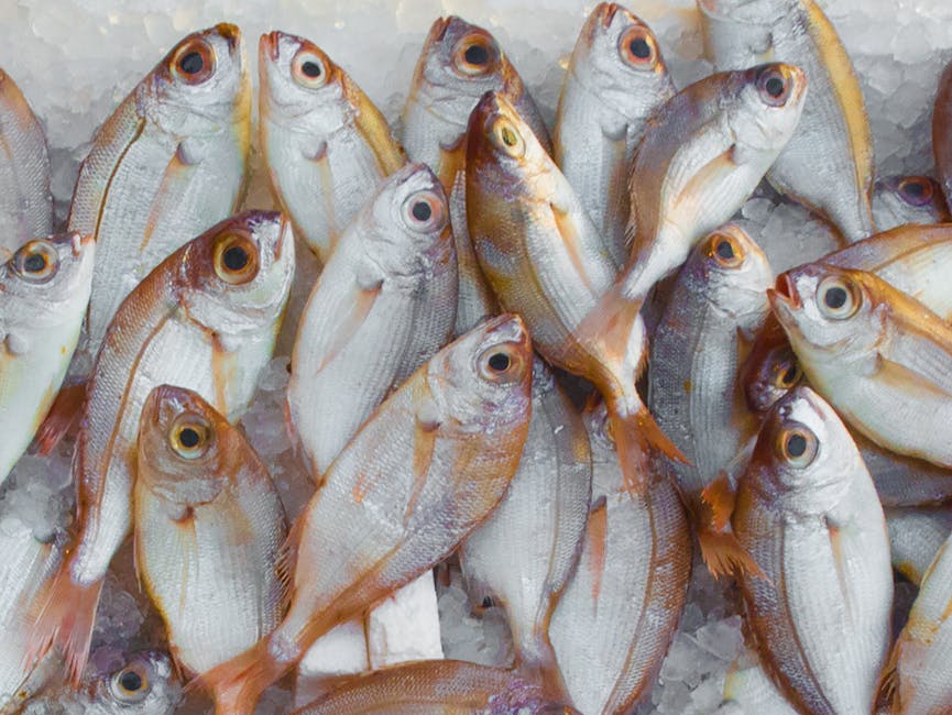 Early morning stalls at Porta Nolana fish market