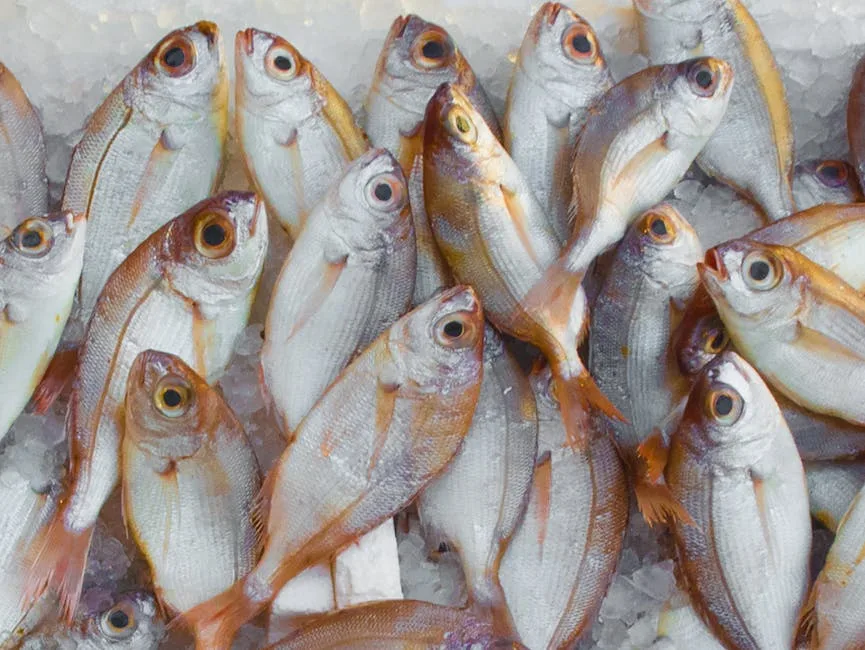 Fresh fish on ice, close-up at a Naples fish market