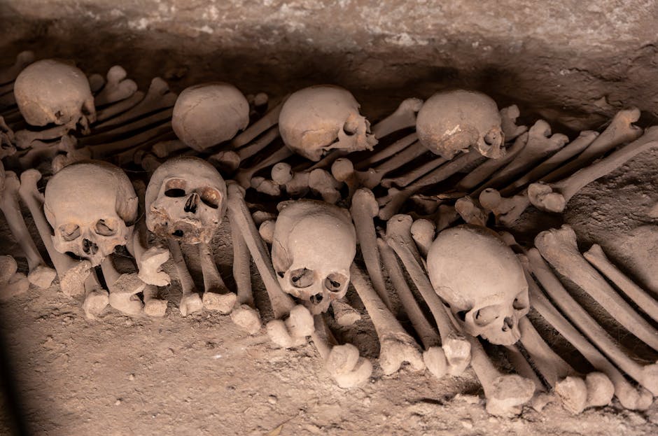 Rows of dusty human skulls and femurs in Naples Fontanelle Cemetery