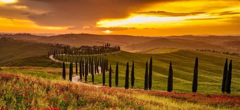 Soirée dans les vignobles du Chianti