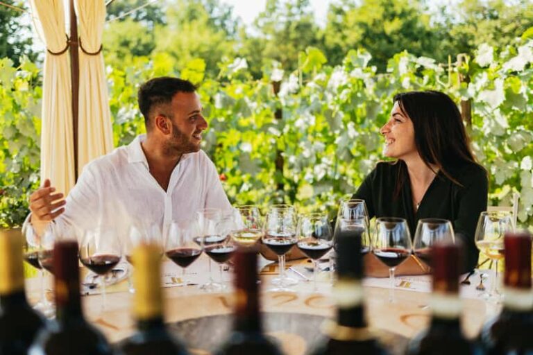 Déjeuner gastronomique dans le vignoble