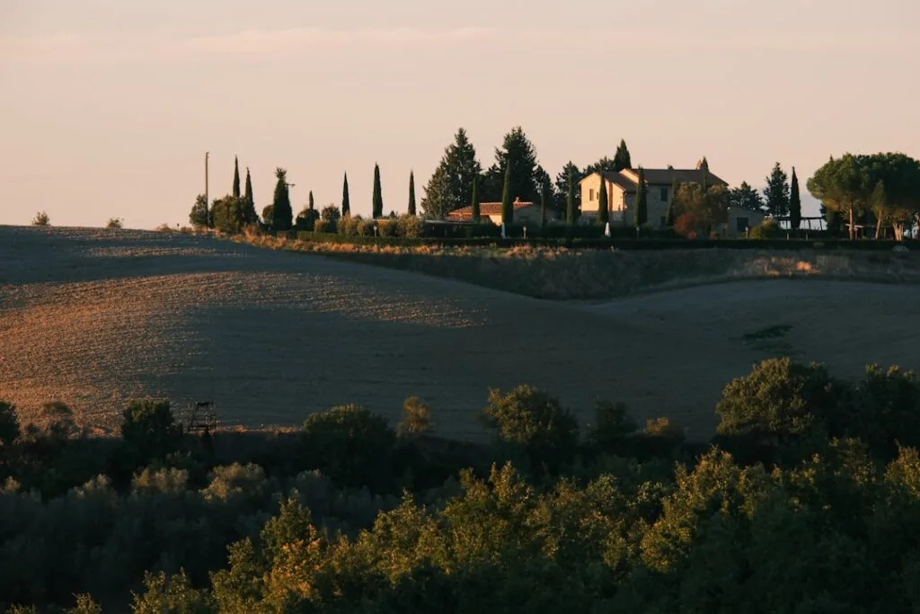 Ferme toscane et cyprès au coucher du soleil près de San Gimignano.