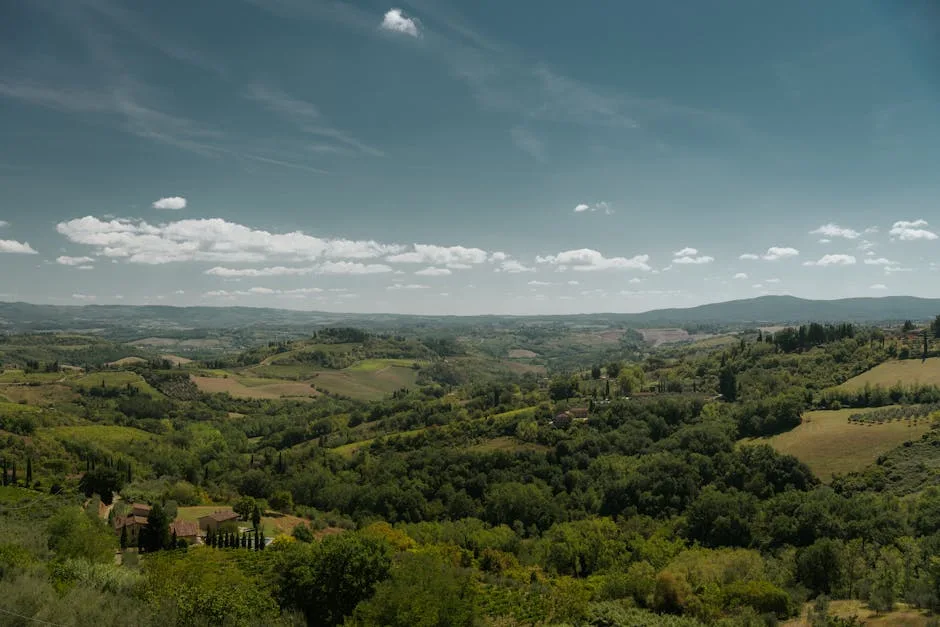 Collines verdoyantes de la campagne autour de San Gimignano, fermes et cyprès