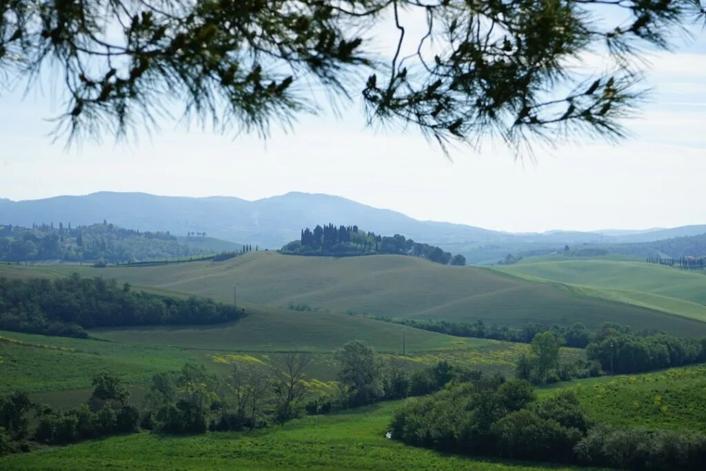 Paysage vallonné toscan et cyprès vus depuis les environs de San Gimignano