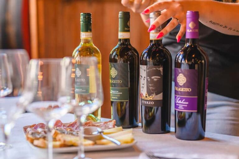 Dégustation intime au domaine Palagetto