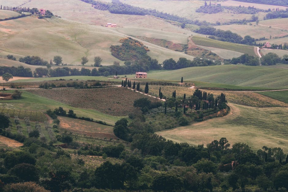 Rolling Tuscan hills near San Gimignano
