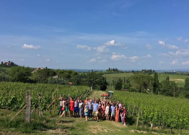 Premium Wine Tour avec déjeuner