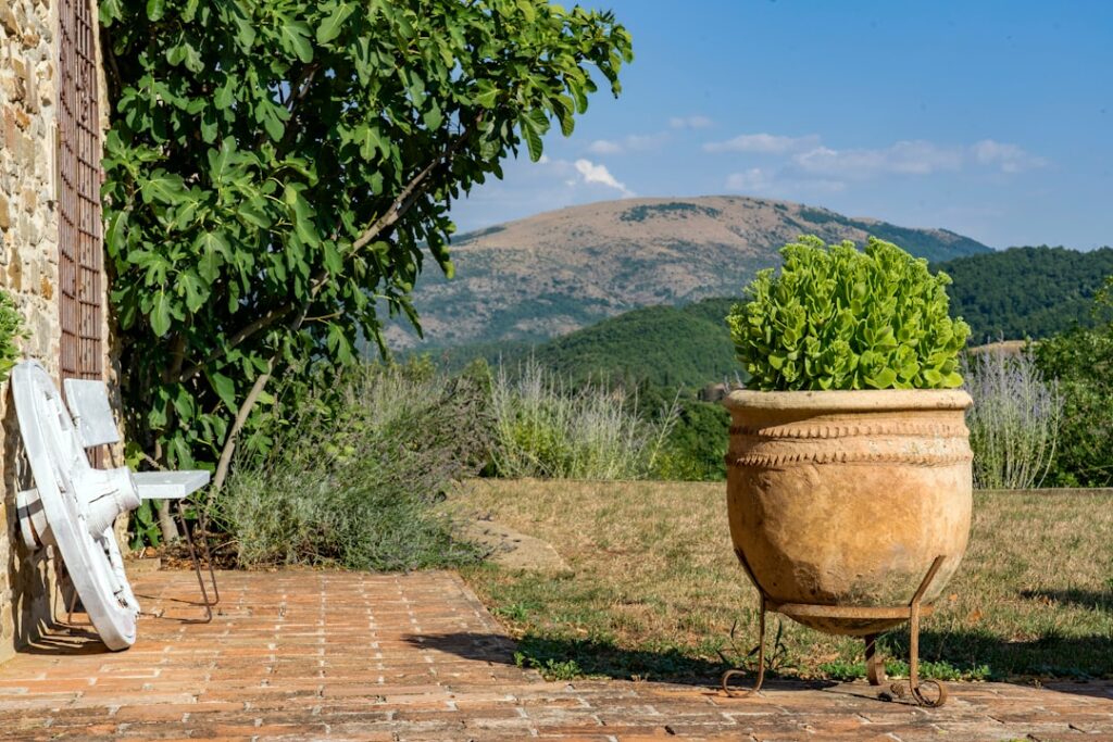 Tontopf mit Aromapflanzen, Blick auf die Hügel von San Gimignano