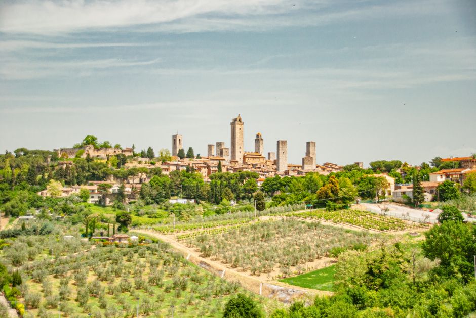 Distant San Gimignano skyline with towers overlooking vineyards and olive groves