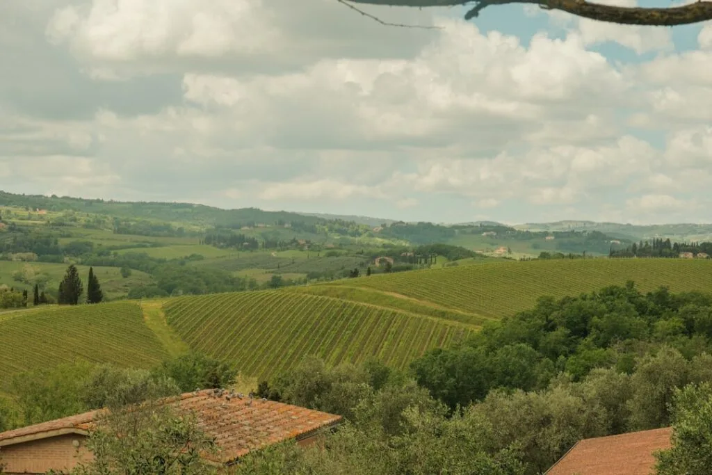 Tuscany vineyards rolling across hills near San Gimignano under cloudy sky