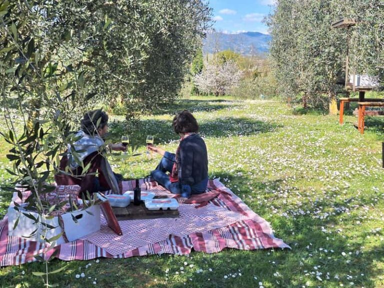 Pique‑nique dans le vignoble