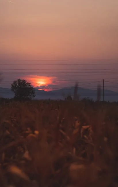 family watching sunset over Tuscan landscape