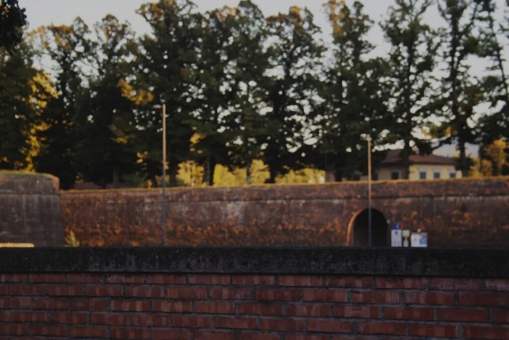 Brick city walls of Lucca with arched gate and tall cypress trees