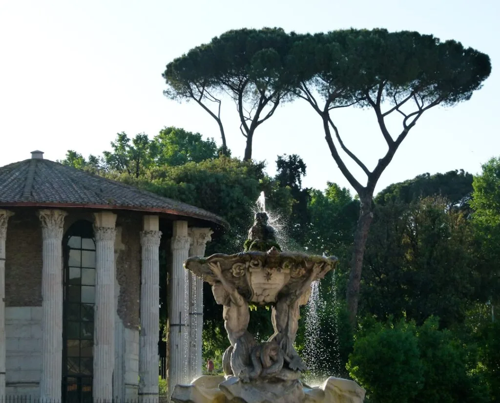 Ornate stone fountain framed by umbrella pines and circular rotunda