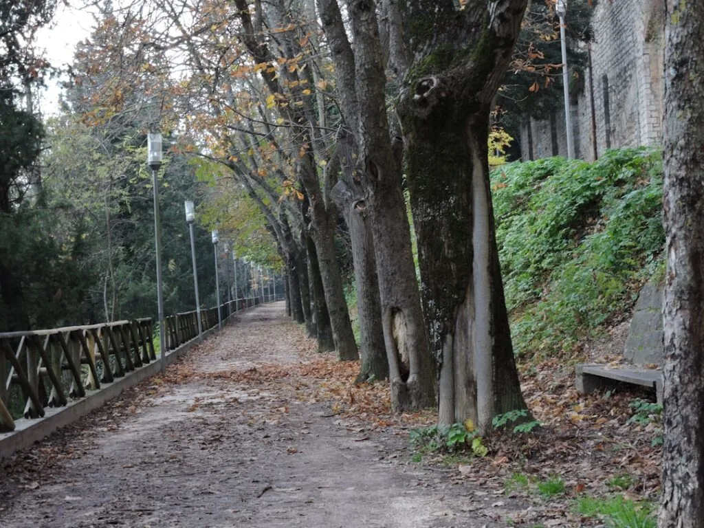 Tree-lined path beside Lucca walls with lampposts and fallen leaves.