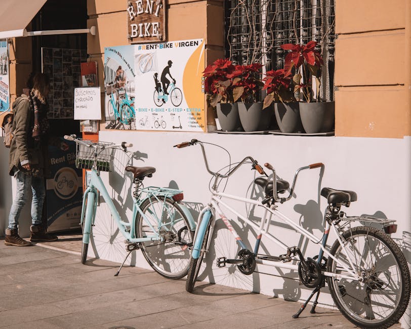 Vélos de location alignés devant un comptoir à Lucques