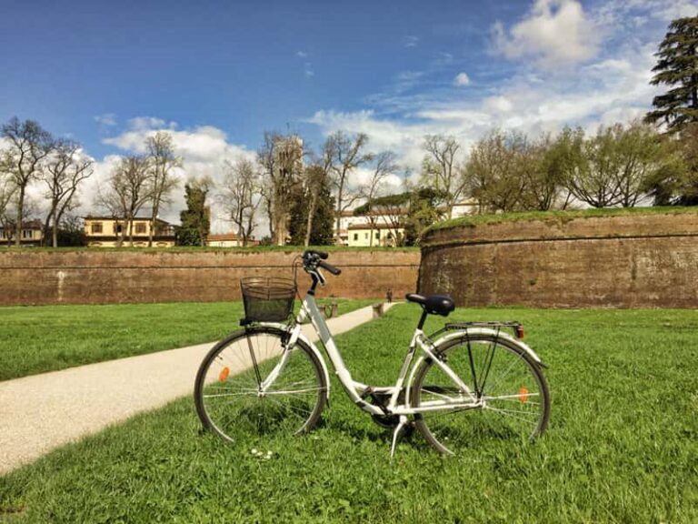 Location journée — City Bike