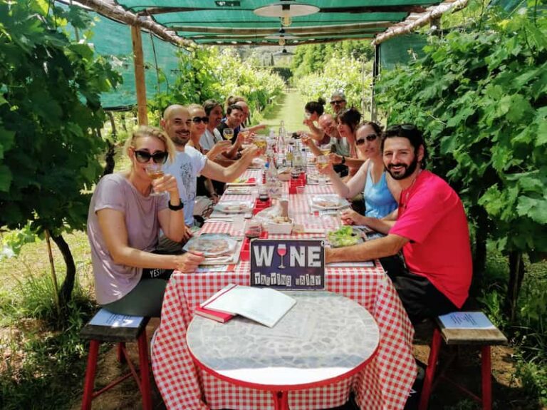 Tour en e‑bike + vignobles