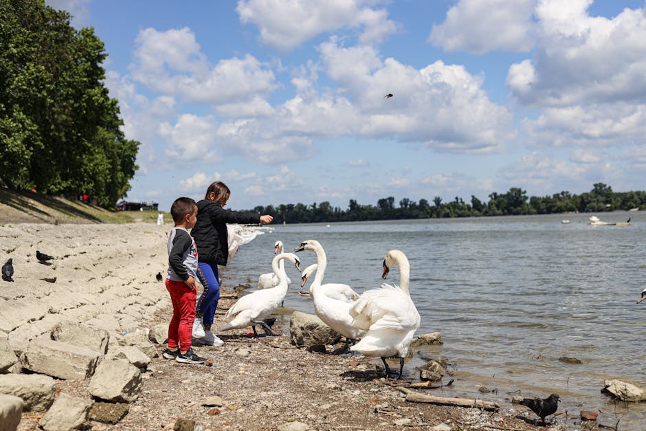 Bambini che osservano gli uccelli lungo la riva del Serchio