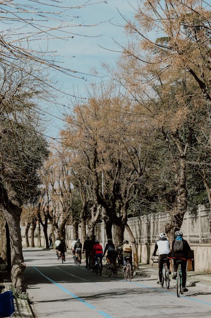 Cyclistes profitant d'une piste bordée d'arbres près des remparts de Lucques