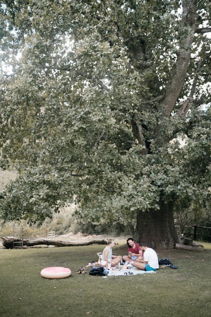 Picnic in famiglia sotto i platani vicino alle mura di Lucca