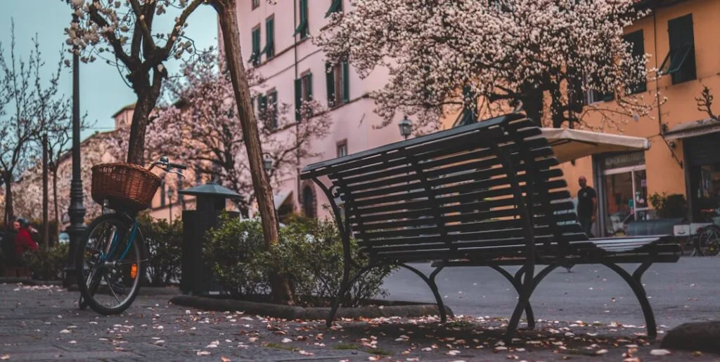 Blue bicycle parked beside a bench under blooming trees in Lucca.