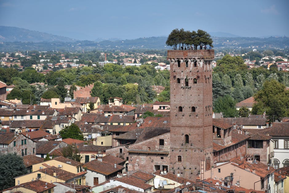 Veduta dall'alto con le querce sulla Torre Guinigi e i tetti di Lucca