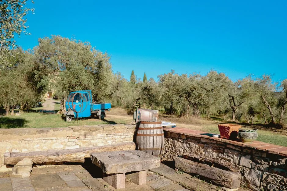 Olijfgaard en boerderij Le Colline in het Lucca-landschap