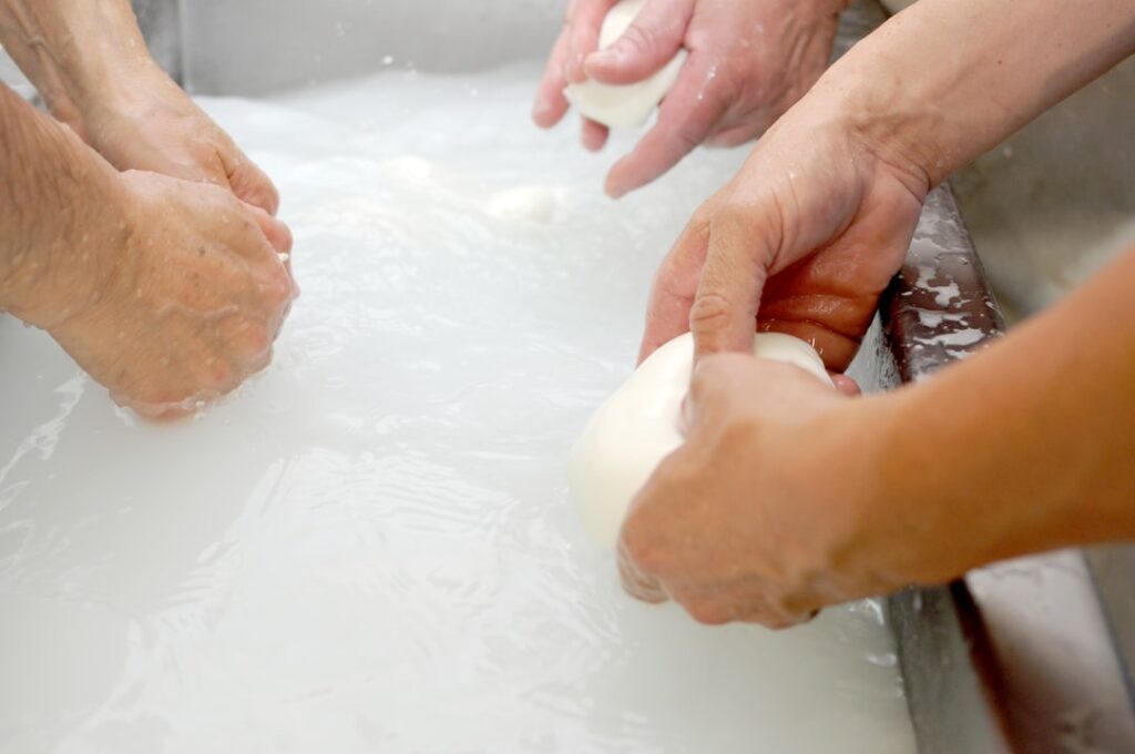 Hands shaping fresh mozzarella in milky whey during Tuscan cheesemaking.
