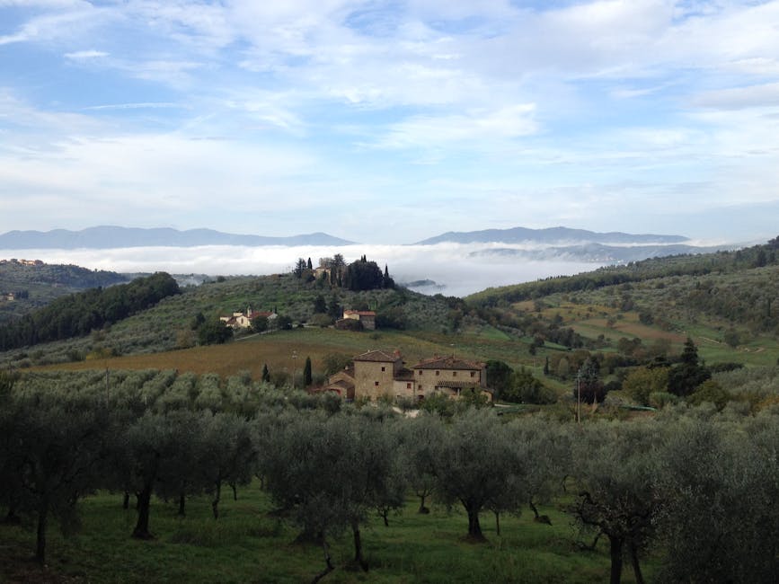 Podere toscano tra uliveti su dolci colline e nebbia
