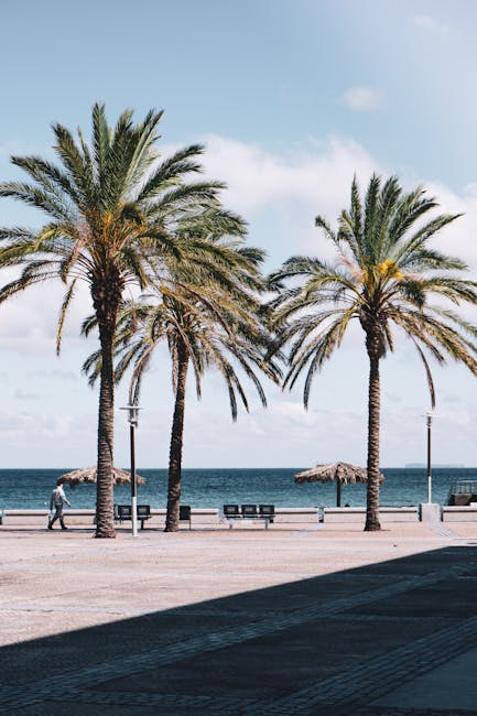 Lungomare soleggiato in Versilia