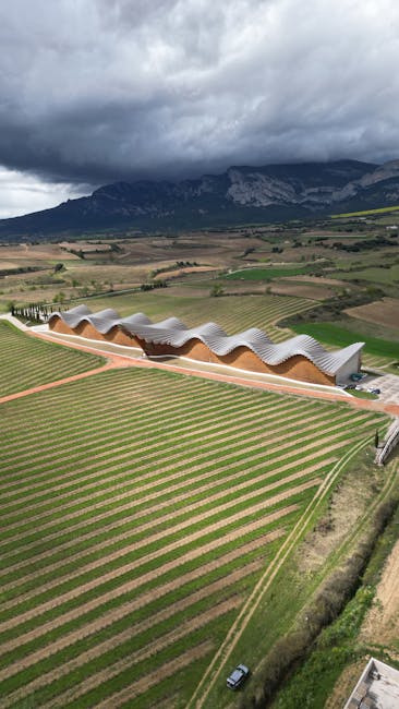 Vineyard with modern wavy-roof winery building under dramatic storm clouds