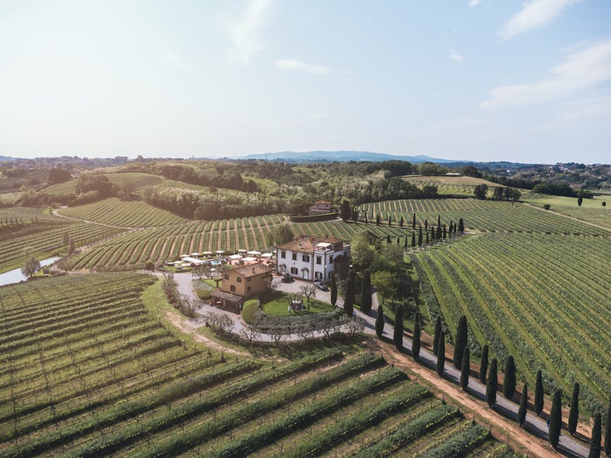 Aerial view of Tuscan estate surrounded by vineyards and cypress-lined driveway