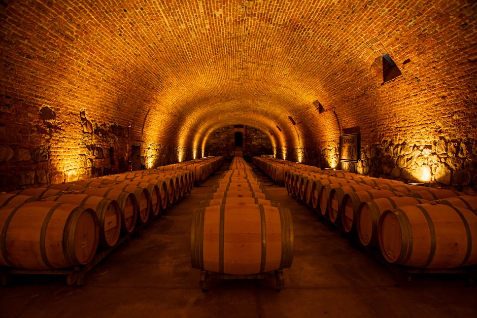 Brick-vaulted Tuscan cellar lined with rows of oak wine barrels