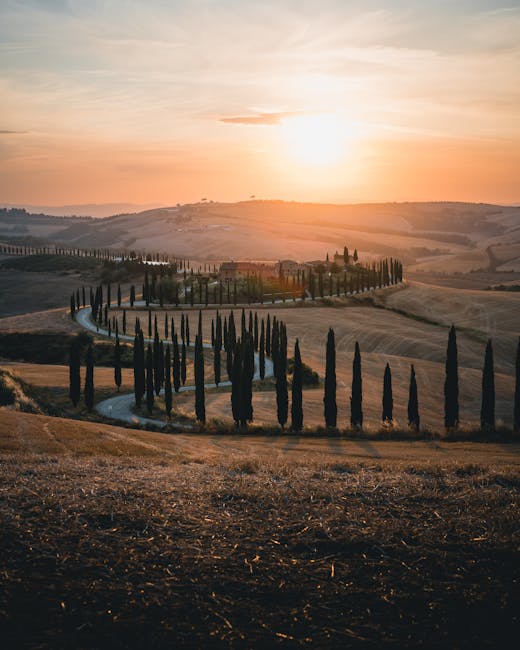 Strada tortuosa nel Chianti tra vigneti e colline