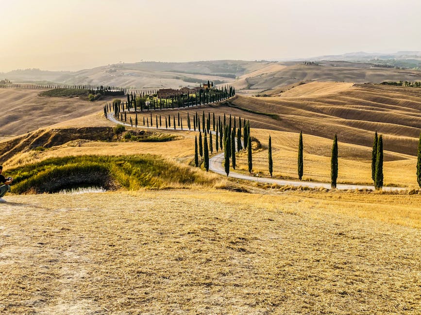 Strada panoramica che attraversa la campagna toscana con cipressi