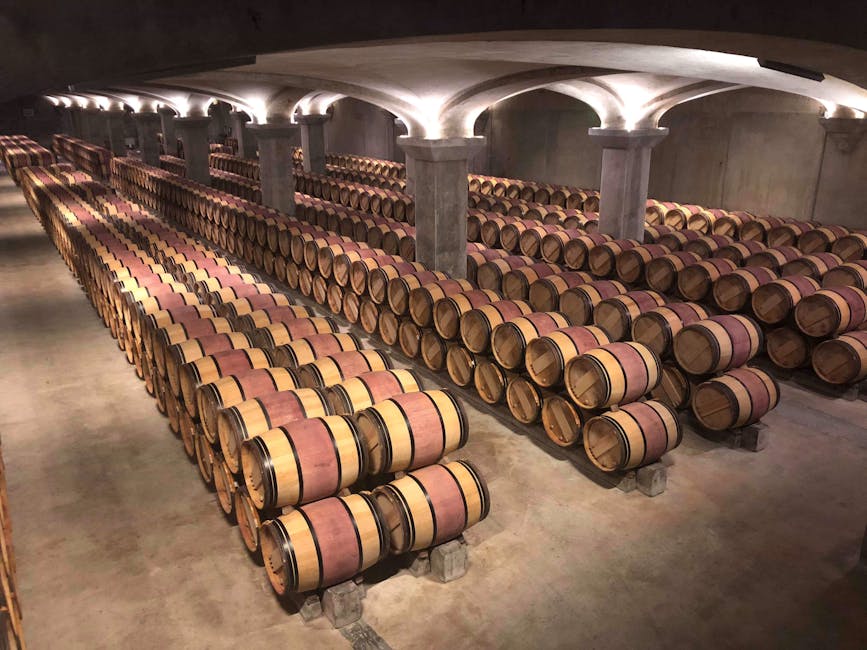 Castello Banfi vineyard and barrel cellar in Montalcino