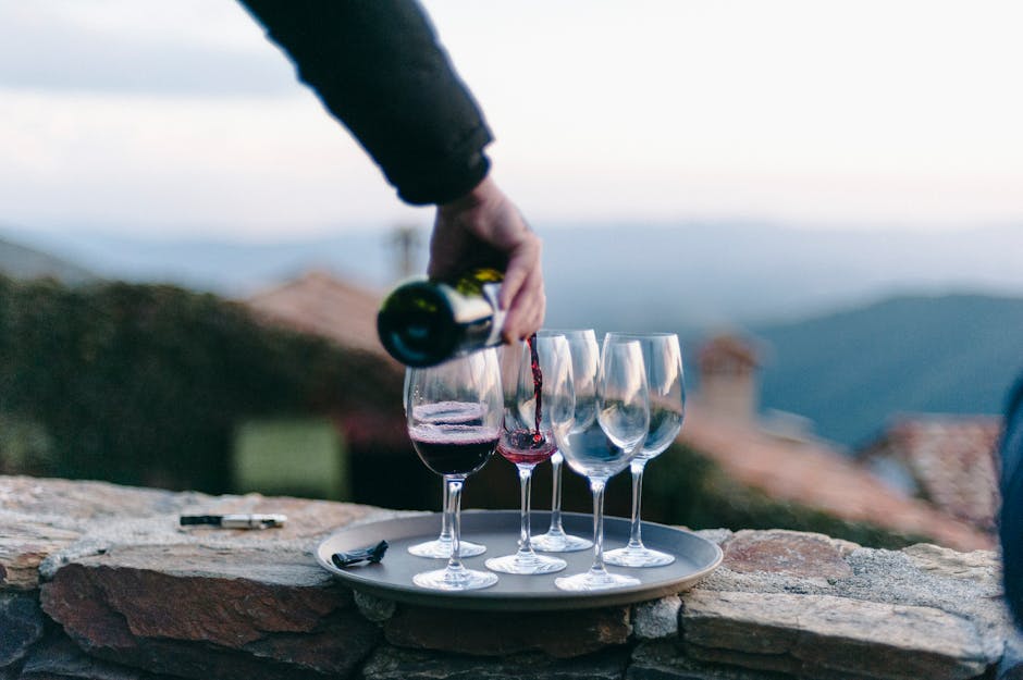 Montalcino vineyards and Brunello wine tasting